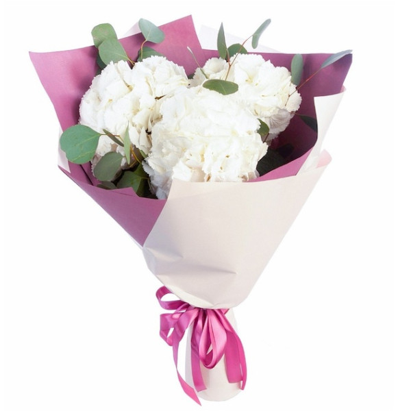 Букет цветов "Белые гортензии"